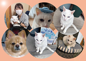 むすび